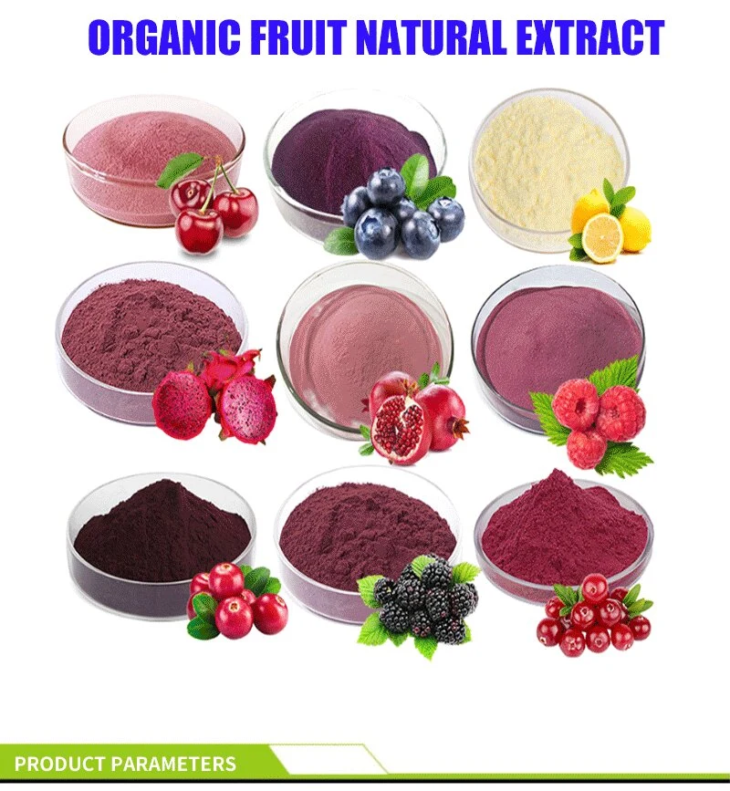 Food Grade Organic 99% Pure Bulk Freeze-Dried Organic Red Dragon Fruit