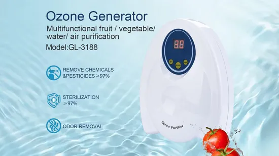 400 Mg Ozone Fruit and Vegetable Washer Ozone Generator