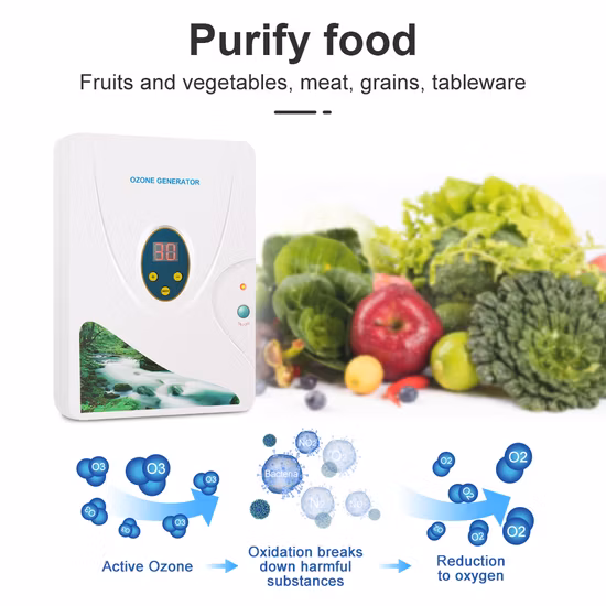 Kitchen Use Wash Fruit Vegetable Water Clean Ozone O3 Ozono Generator