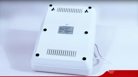 Wall Mounted Touch Panel 600mg/H O3 Air and Water Purifier Ozone Generator