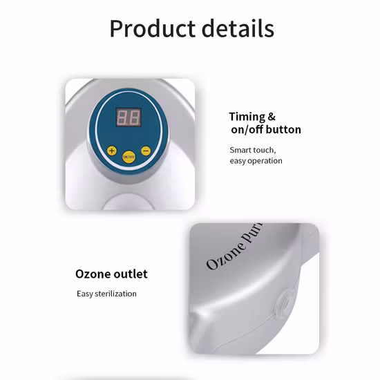 Ozone Sterilizer Vegetables Fruits Meat Water Air Purifier Medical Dental Ozone Cleaner