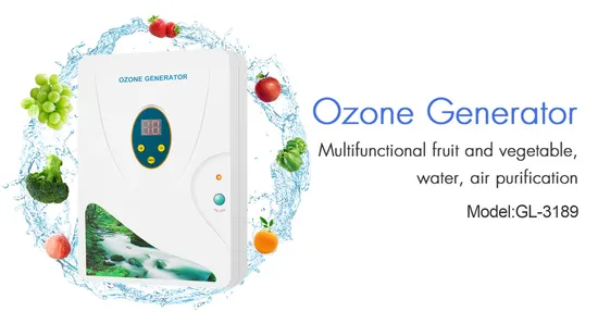 DC12V Ozone Generator 500mg Ozone Output for Kitchen Produce Ozone Water Clean Fruit and Vegetable 