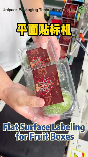 Automatic Portable/Assembly Line Flat Labeling Machine 