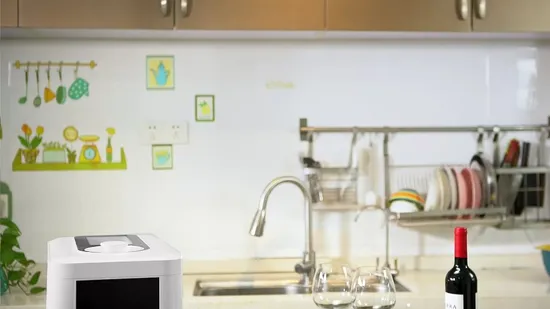 Portable Fruits and Vegetable Washing and Cleaning Machine Household Use 