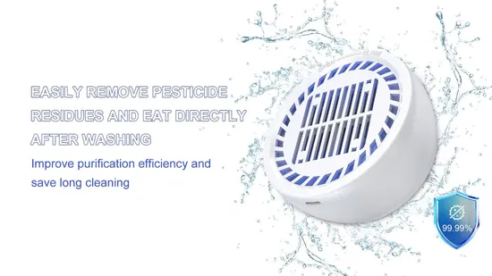 Fruit and Vegetable Purifier Classification Fruit and Vegetable Purifier Food Cleaning Machine Portable Without Automatic 