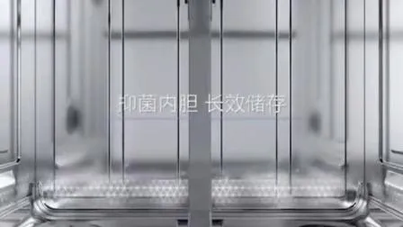 2023 Promotion Dishwasher 60cm Width Quality Dish Washing Machine Factory Supply 