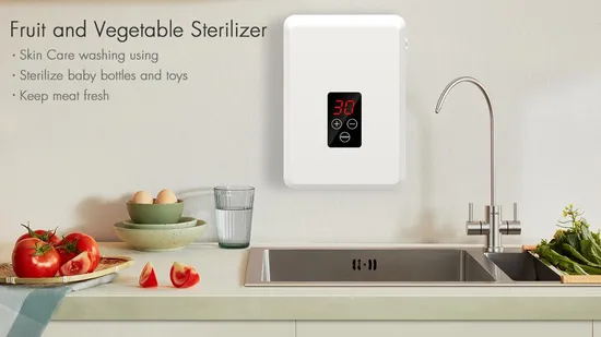 Wall Mounted 400mg/H Ozone Therapy Water Purifier for Sterilizing Vegetable and Fruit 