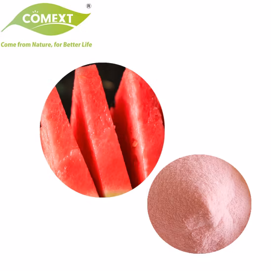 Pure Natural Water Solubility Freeze Dried Organic Instant Watermelon Fruit