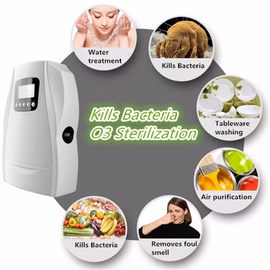 Ozone Generator Sterilizer Purifier Air and Water Purifier with Cycle Working
