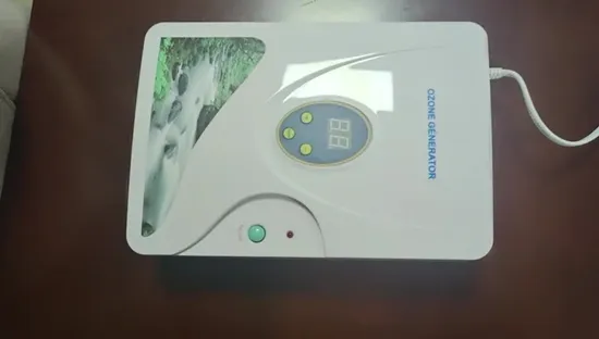 Kitchen Use Wash Fruit Vegetable Water Clean Ozone O3 Ozono Generator 