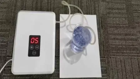 Wall Mounted Vegetable Purifiers Ozone Water Purifier Ozone Generator Home Appliance Fruit and Vegetable Clean Ozone Water Sterilizers 